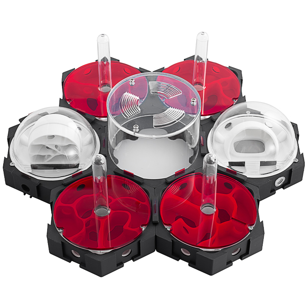 3D Printing Ant Nest Infinitel - Begonia Rex review and price