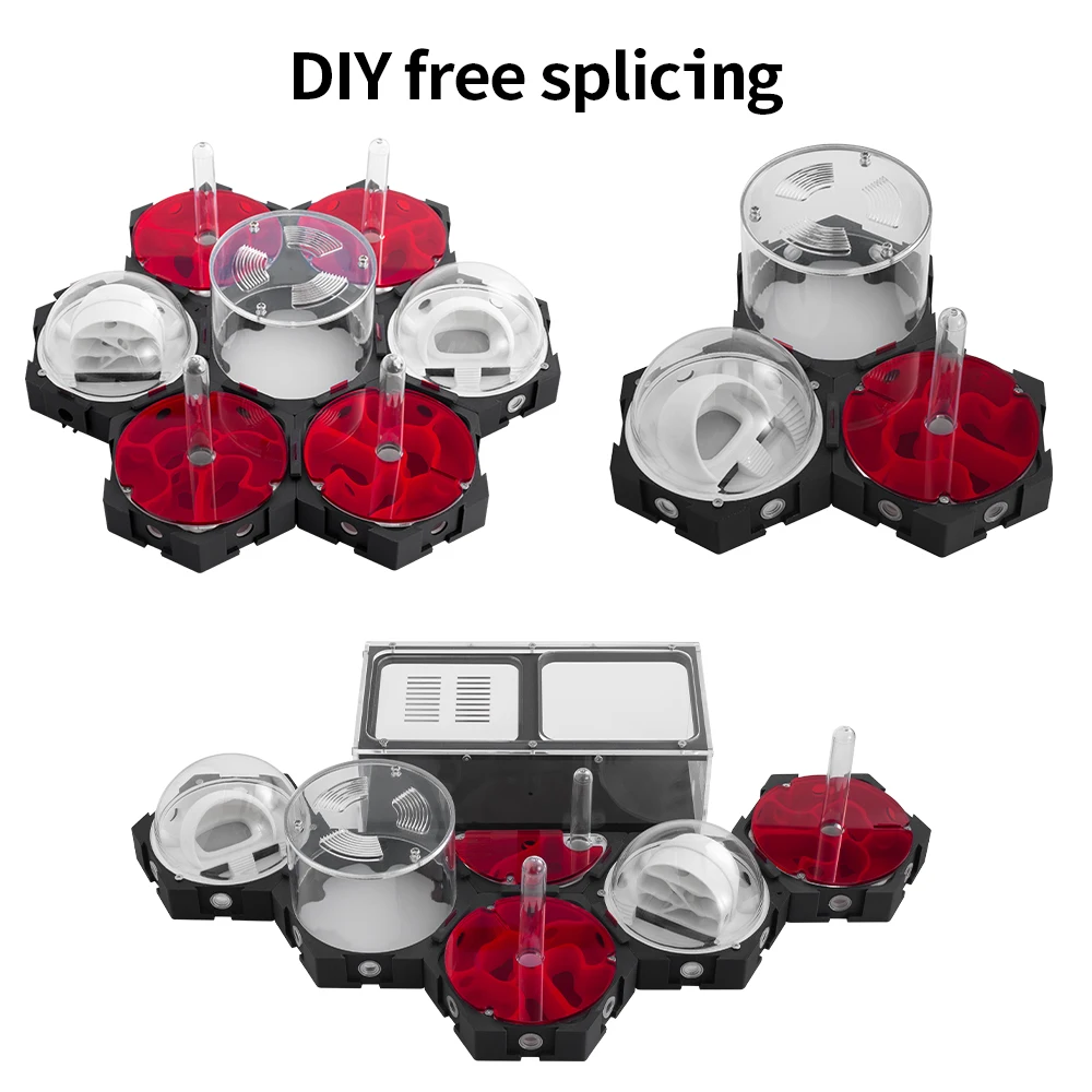 3D Printing Ant Nest Infinitel - Begonia Rex review and price