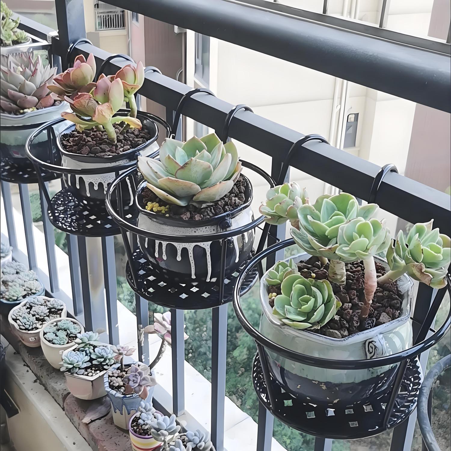 Wrought Iron Balcony Hanging F - Spider Plant Hanging review and price