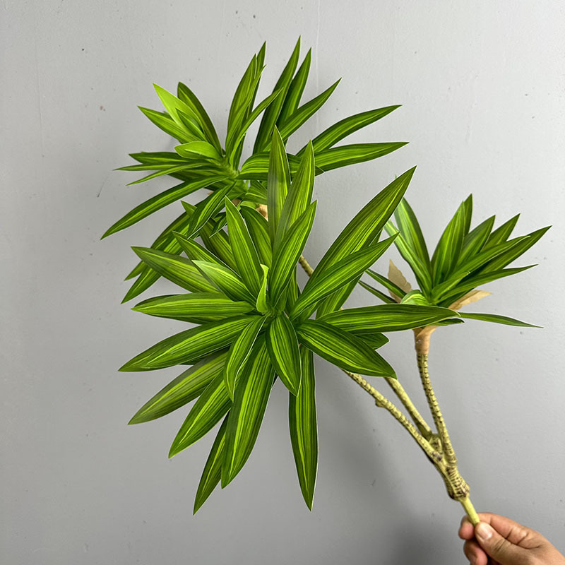 Simulated Green Plants 3 Heads - Dracaena Marginata review and price