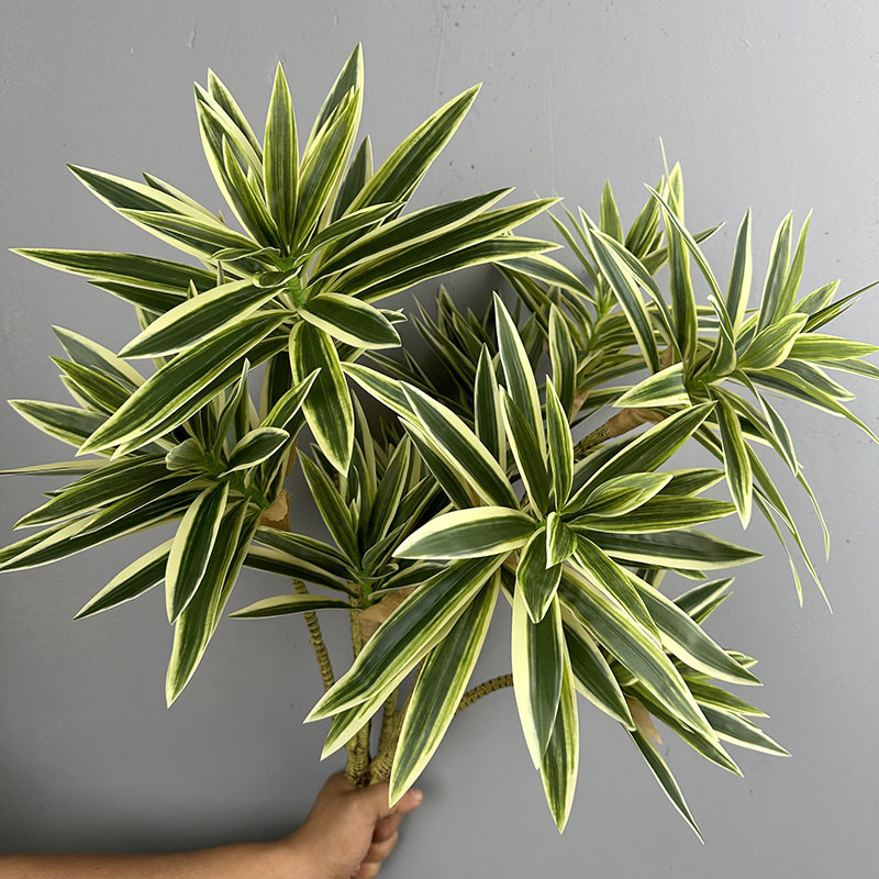 Simulated Green Plants 3 Heads - Dracaena Marginata review and price