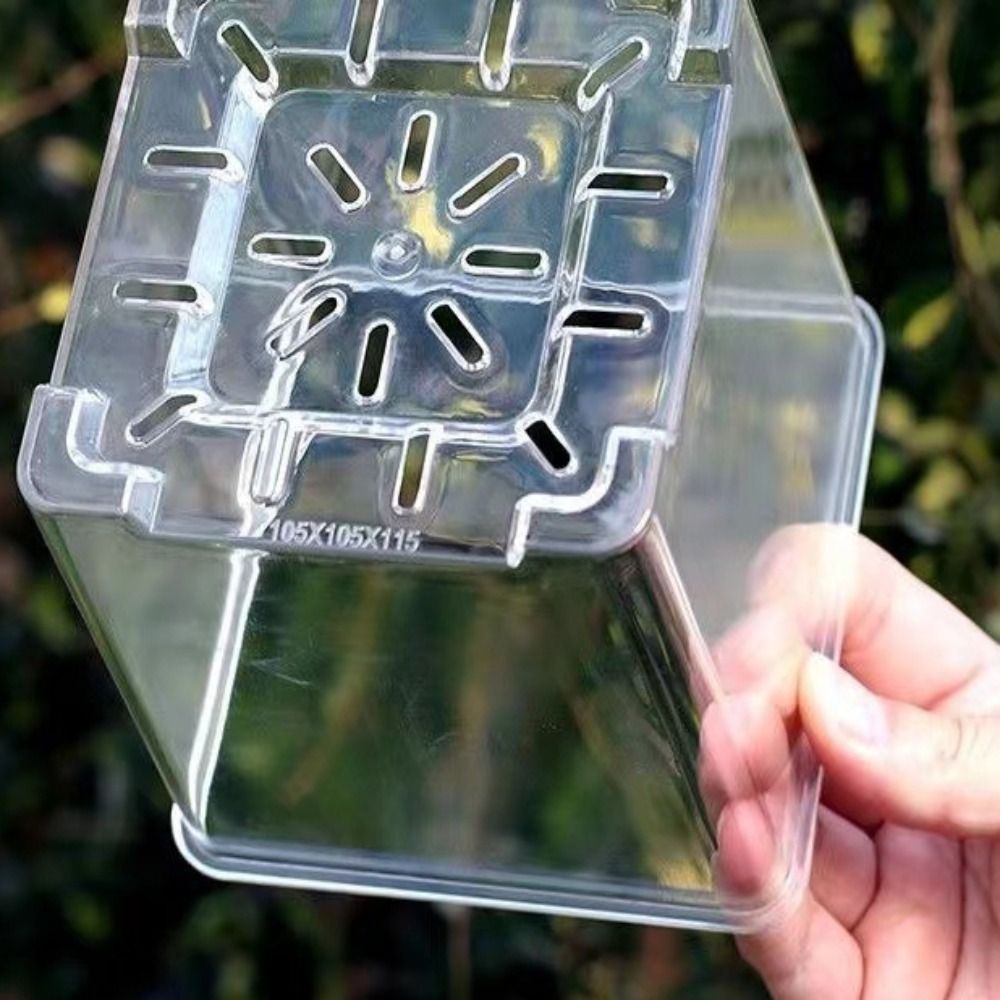 5PCS/Kit Clear Plastic Orchid  - Aloe Vera Pot review and price