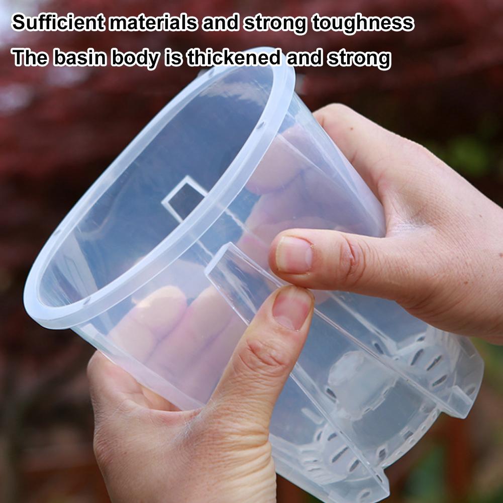 5PCS/Kit Clear Plastic Orchid  - Aloe Vera Pot review and price