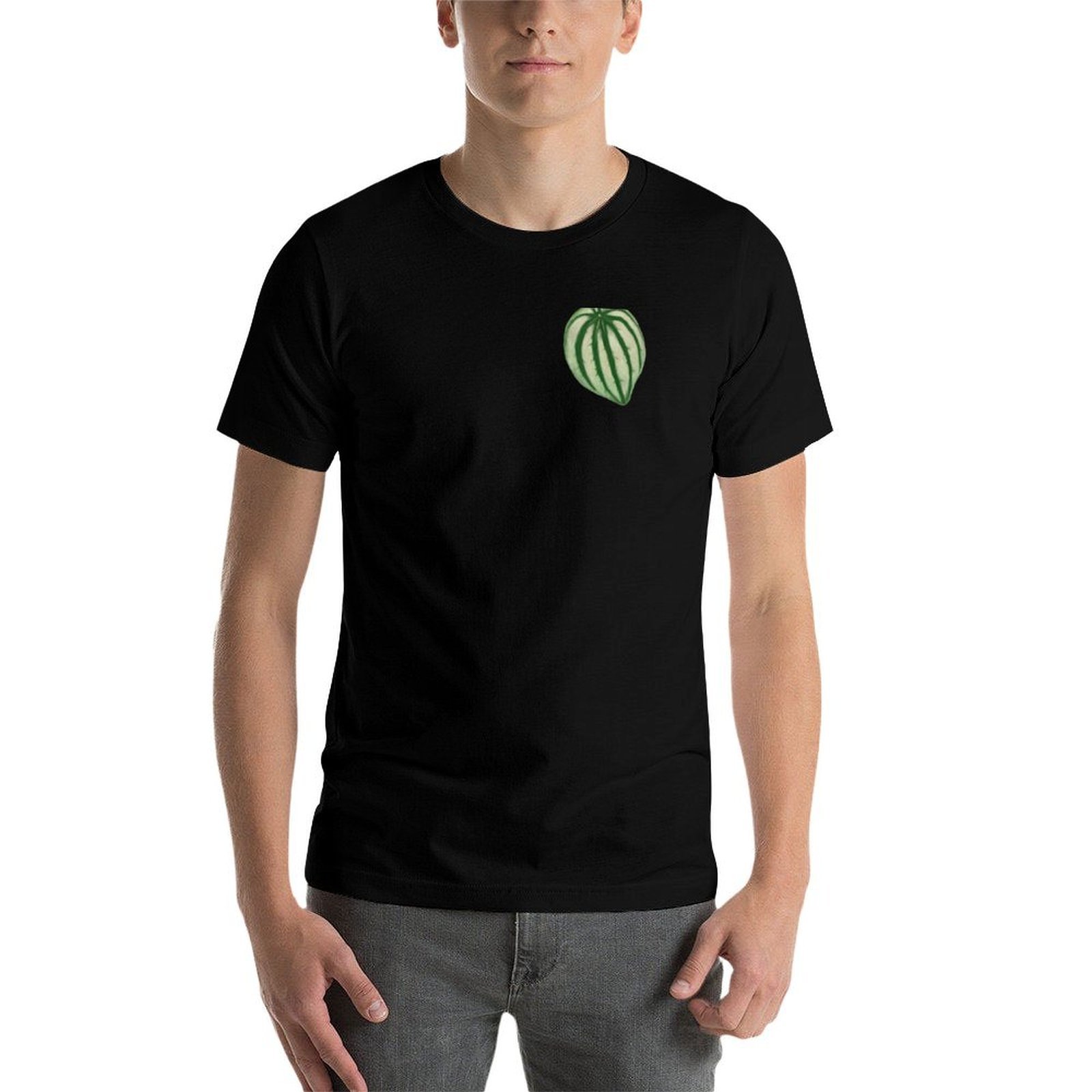 Watermelon Peperomia T-Shirt a - Peperomia Watermelon review and price